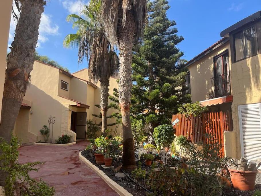 Casa Cactus Paraiso Parque Holandes Εξωτερικό φωτογραφία