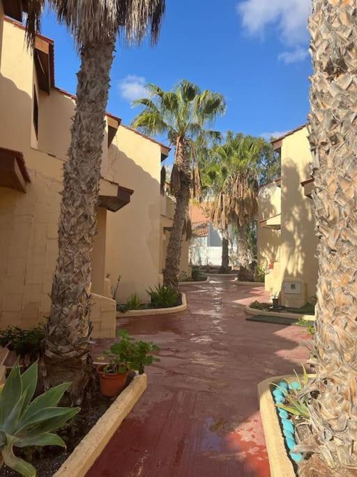 Casa Cactus Paraiso Parque Holandes Εξωτερικό φωτογραφία