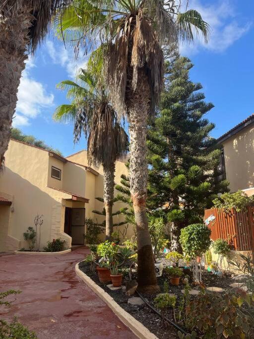 Casa Cactus Paraiso Parque Holandes Εξωτερικό φωτογραφία