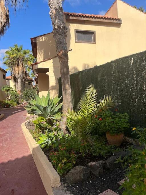 Casa Cactus Paraiso Parque Holandes Εξωτερικό φωτογραφία
