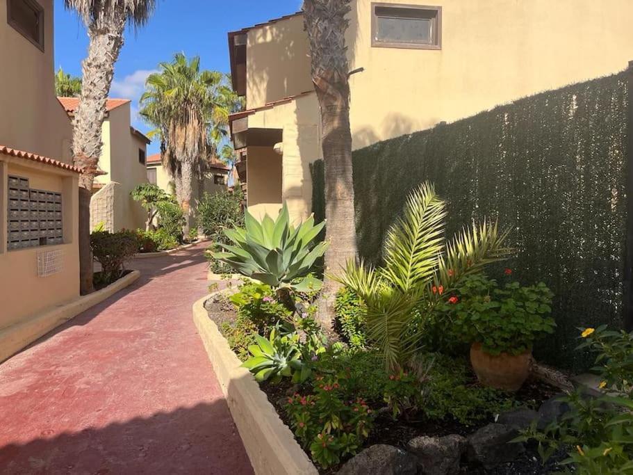 Casa Cactus Paraiso Parque Holandes Εξωτερικό φωτογραφία