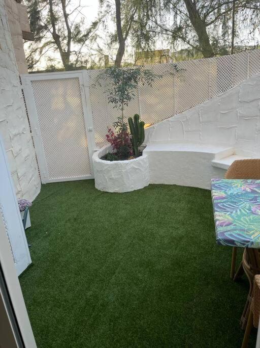Casa Cactus Paraiso Parque Holandes Εξωτερικό φωτογραφία